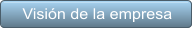 Visin de la empresa